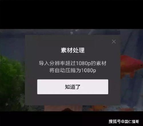 剪映独家爆料怎么做视频,视频生成新技巧大公开  第1张