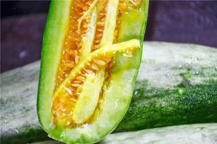 最会吃瓜的网红,网红吃瓜达人带你领略娱乐圈幕后风云 第3张 最会吃瓜的网红,网红吃瓜达人带你领略娱乐圈幕后风云 第3张